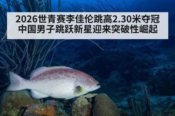 2026世青赛李佳伦跳高2.30米夺冠中国男子跳跃新星迎来突破性崛起