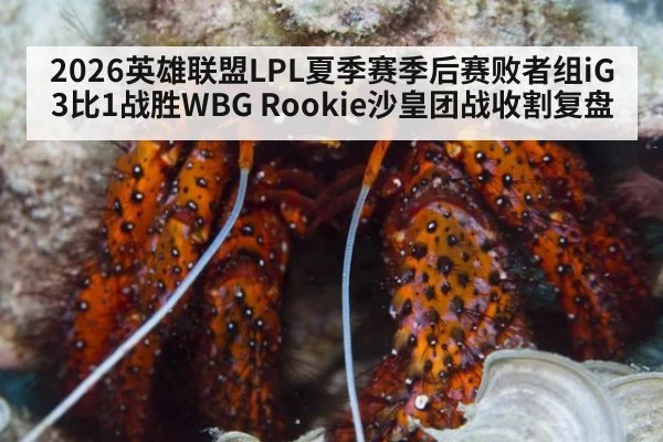 2026英雄联盟LPL夏季赛季后赛败者组iG3比1战胜WBG Rookie沙皇团战收割复盘